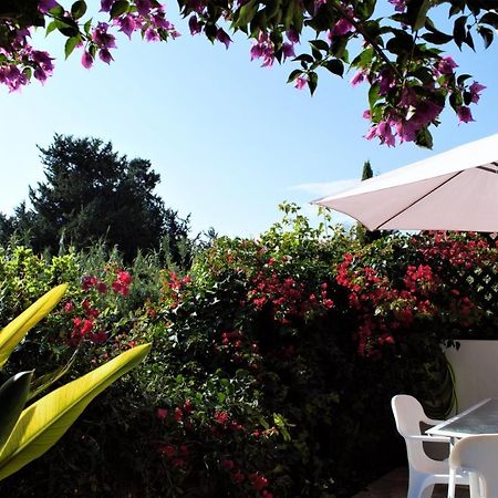 Paphos Townhouse In Paradise Gardens מראה חיצוני תמונה